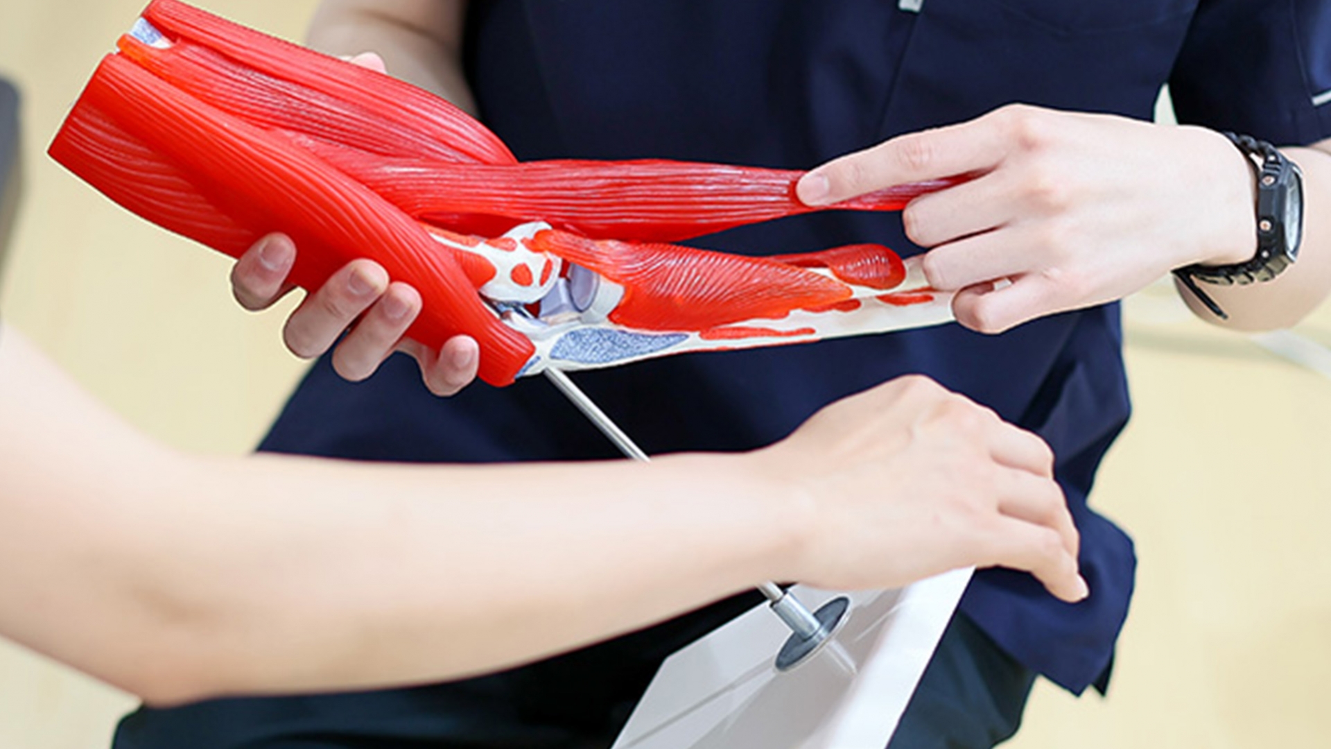 接骨院での施術指導(肘)